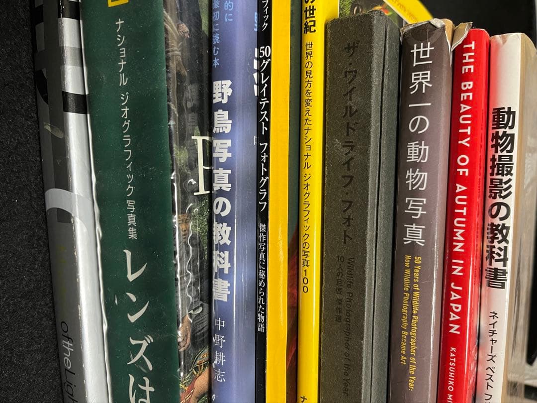 写真集 9冊 まとめ売り ナショジオ ニコン 動物写真集 野鳥 野生動物