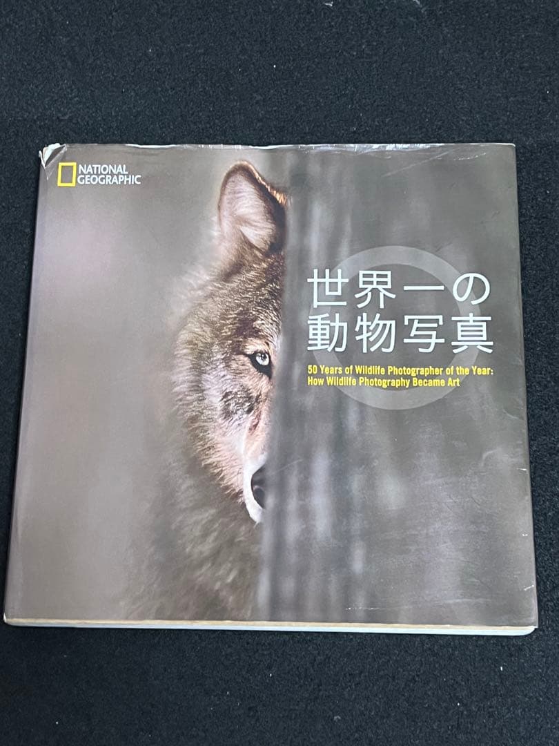 写真集 9冊 まとめ売り ナショジオ ニコン 動物写真集 野鳥 野生動物