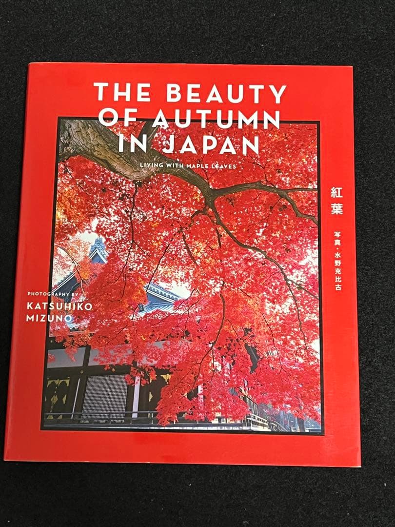 写真集 9冊 まとめ売り ナショジオ ニコン 動物写真集 野鳥 野生動物