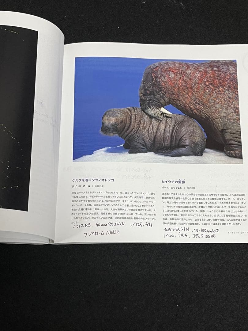写真集 9冊 まとめ売り ナショジオ ニコン 動物写真集 野鳥 野生動物