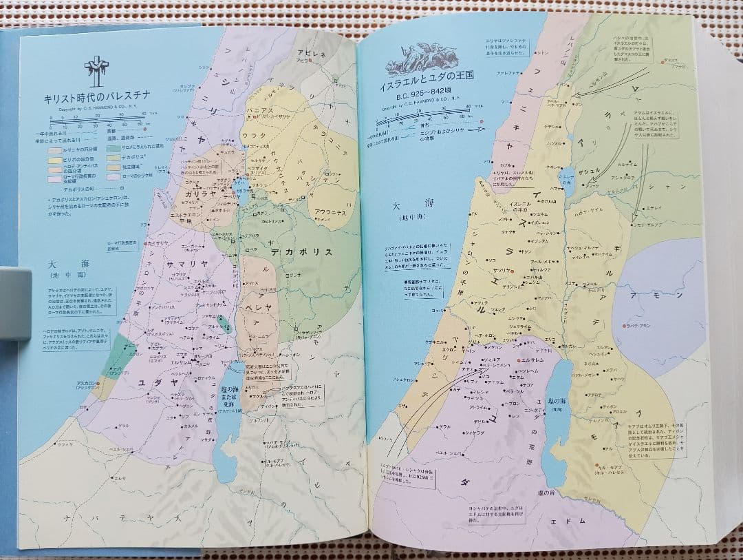 ■大型聖書 引照・注付 /日本聖書刊行会/新改訳聖書刊行会/大型スタンダード版