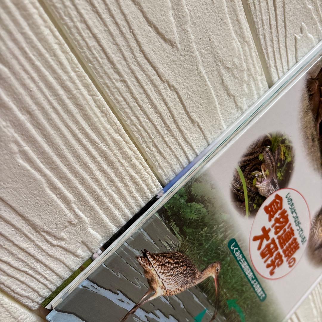 いのちはつながっている! 食物連鎖の大研究