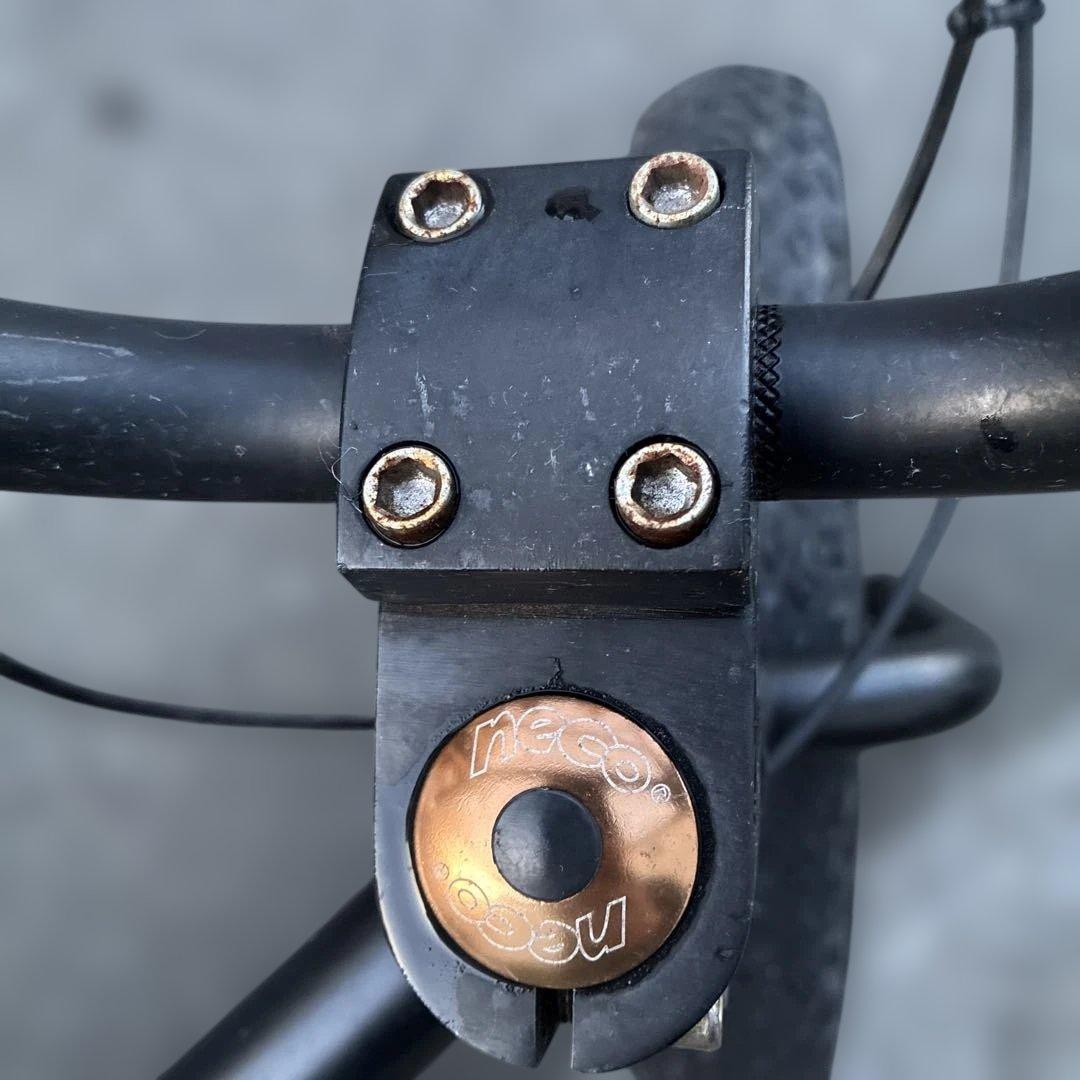 ファットバイク