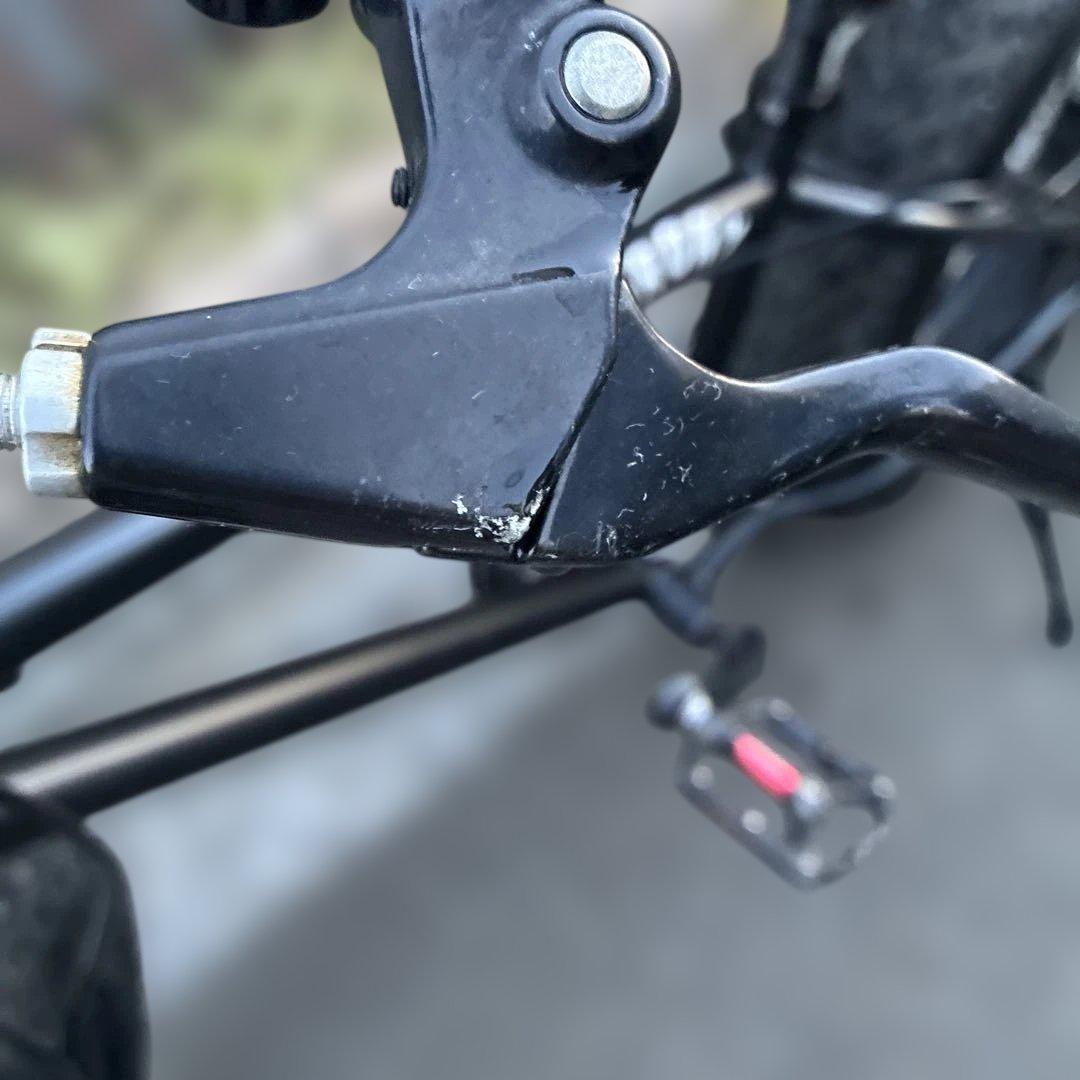 ファットバイク