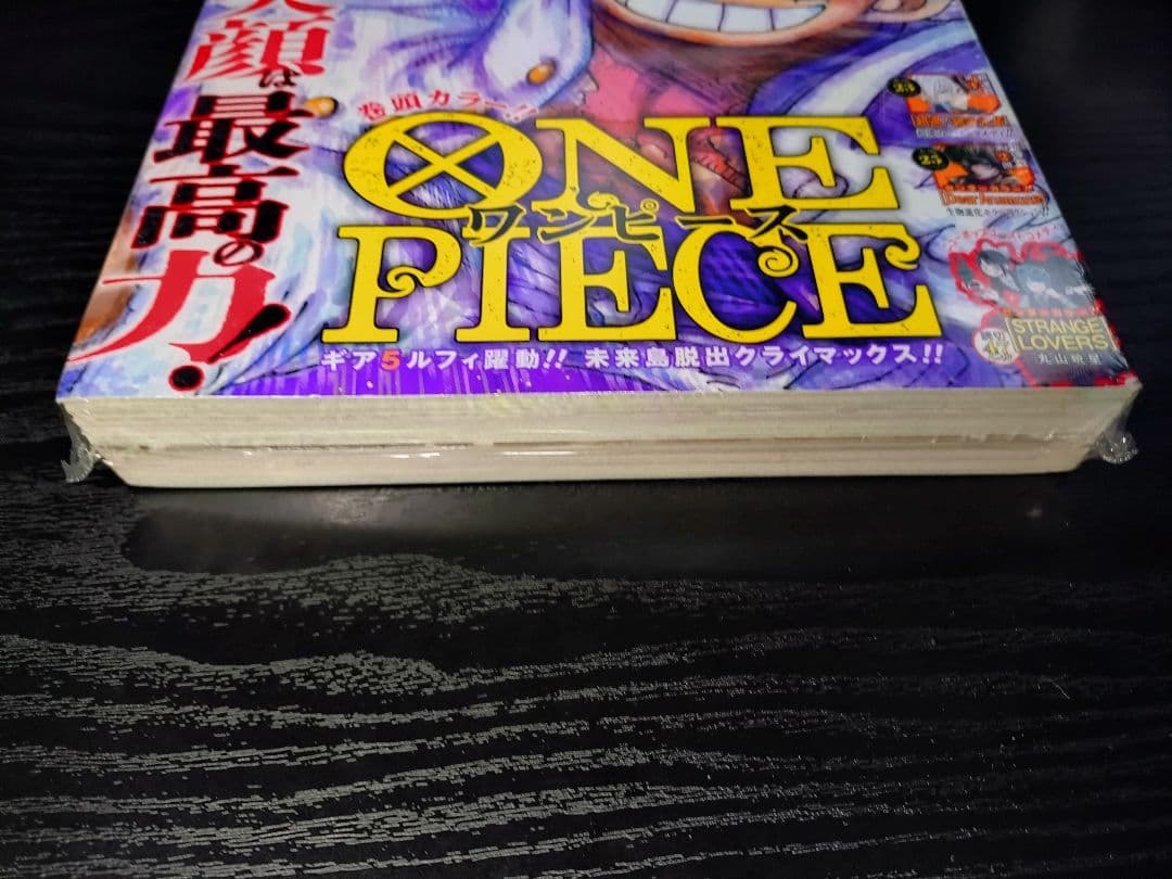 新品未読シュリンク【週刊少年ジャンプ2024年13号】ワンピース　ニカ　d