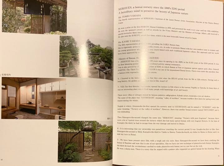 清香園美術盆栽 : 日本の粋、江戸の粋　本　定価10,476円