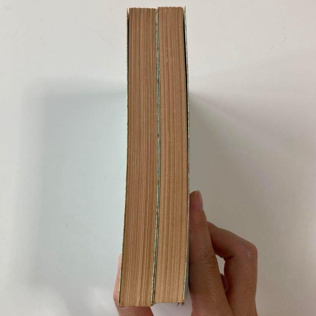 「ガラス玉演戯」 ヘルマン・ヘッセ 上下巻２冊セット