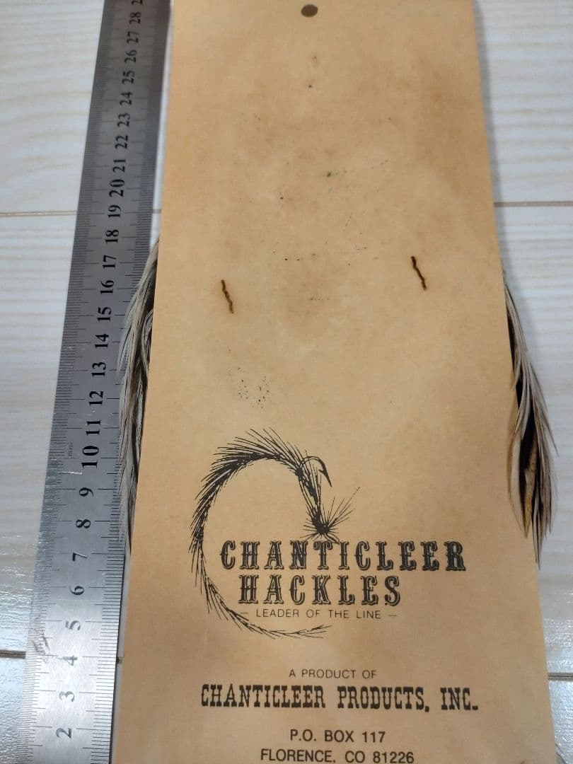 CHANTICLEER チャンタクリアハックル　シルバーバジャー系　レア