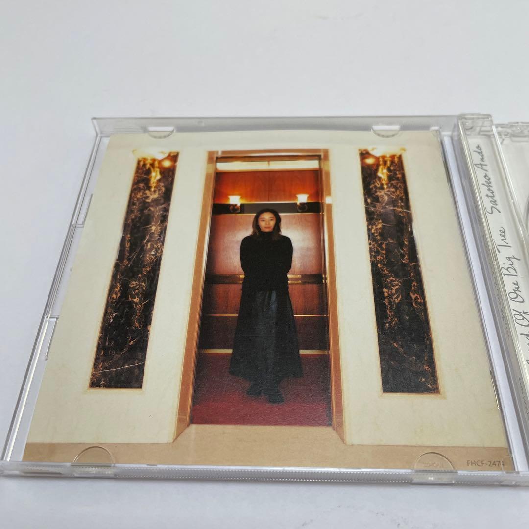 安藤さと子/A Little Seed Of One Big Tree/玉置浩二