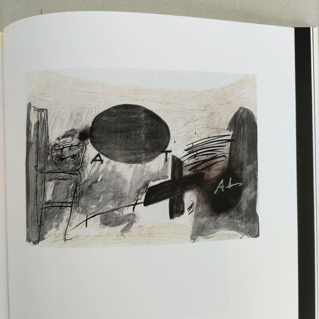 Antoni Tapies アントニ・タピエス 作品集 カタログ2冊組 アート