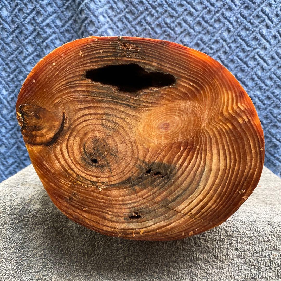 山じぃの格安訳あり！ 巨大ファットウッド