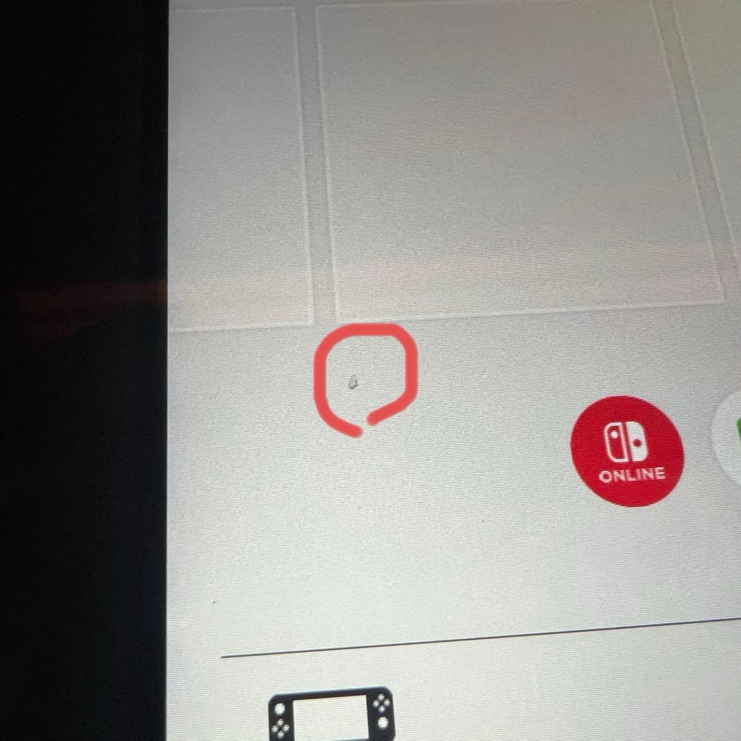 naonao Nintendo Switch Lite グレー　中古