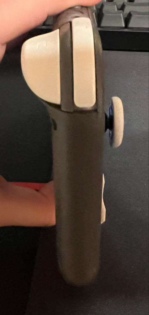 naonao Nintendo Switch Lite グレー　中古