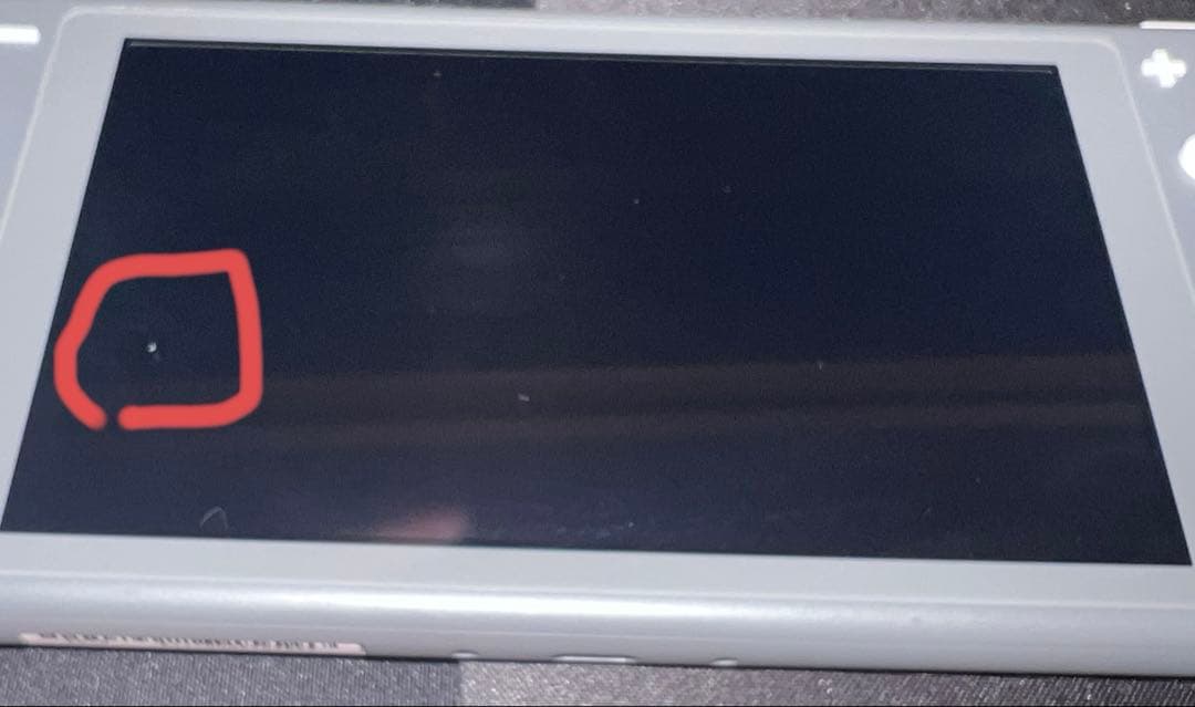 naonao Nintendo Switch Lite グレー　中古