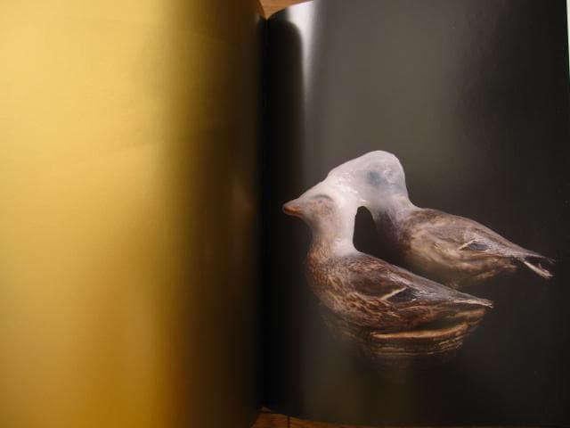 アート・デザイン・音楽 GO GO GO OLD GOLD REITER GO