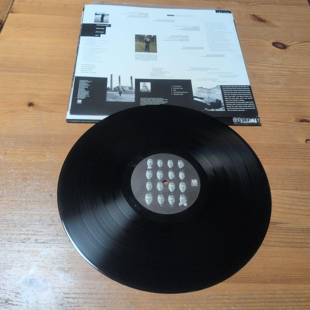 【4枚セット】UKネオアコ名盤LP Felt/Pale Fountains/英盤