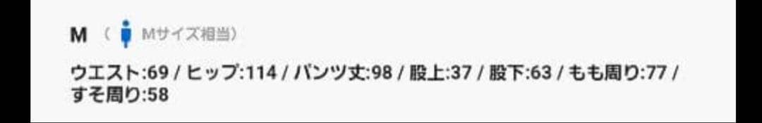 DankeSchon カーゴパンツ バギーカーゴ ダンケシェーン ワイドパンツ
