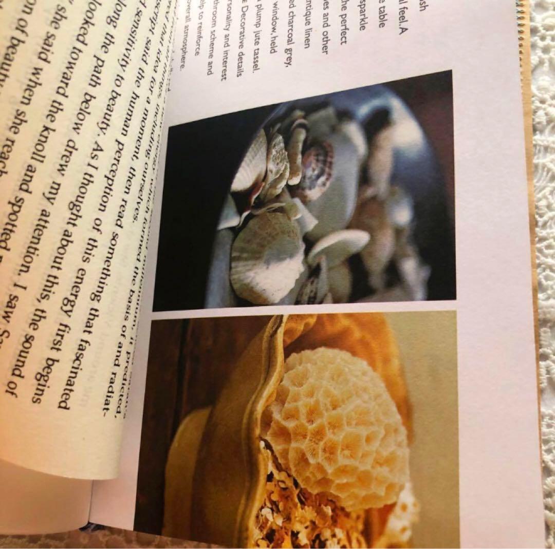 ✧1点物✧vintage victorian✧journal note book