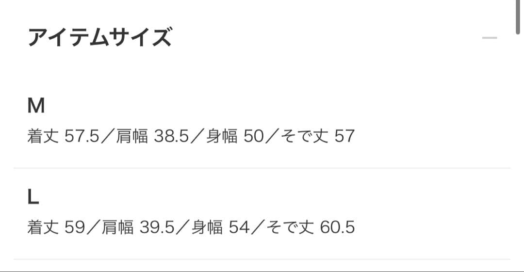 ら*ん様 BEAMS GOLF エアシャット 縦ロゴ ニット（防風）