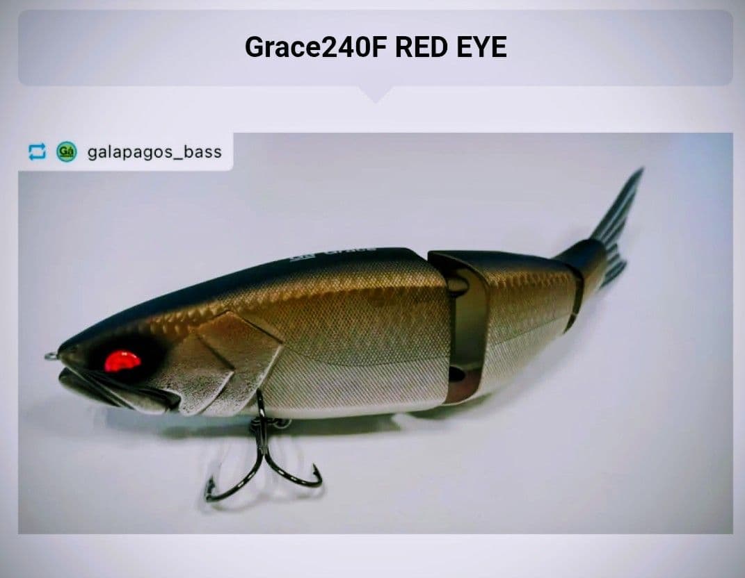 【Galápagos 】Grace 280 Sinking レッドアイ限定品