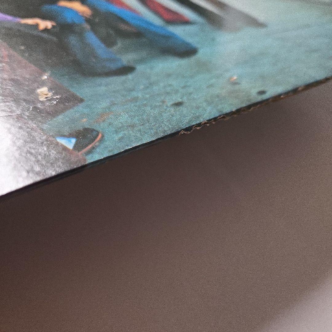 サザンロック名盤　日本盤　Lynyrd Skynyrd