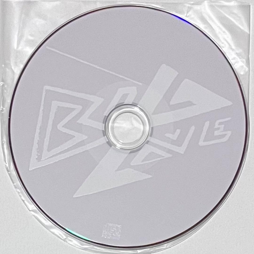 VARIOUS / BIG LOVE RECORDS ‎BIGLOVE017