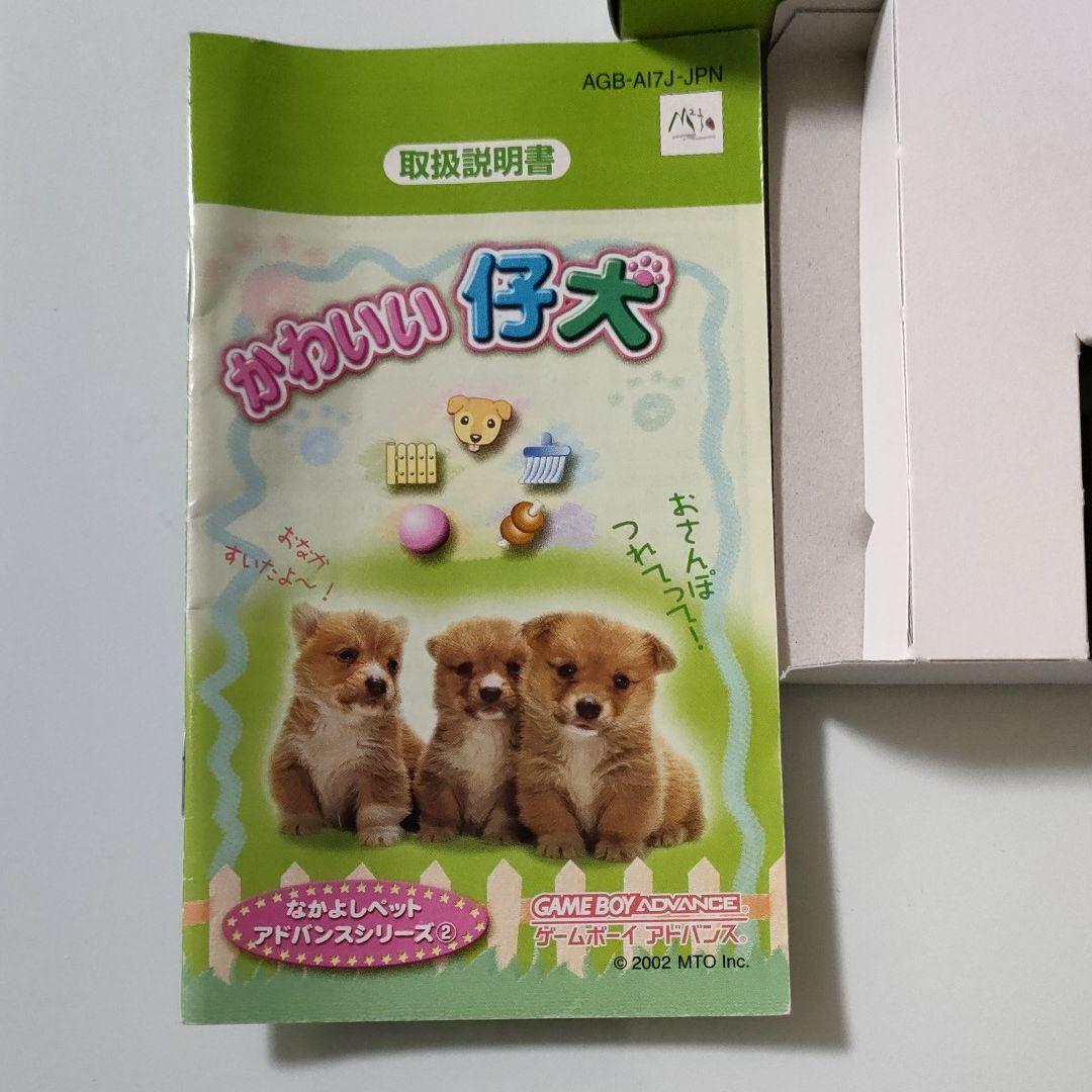 在庫SALE【完全版】かわいい仔犬