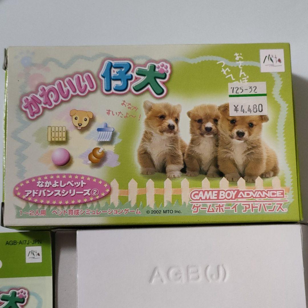 在庫SALE【完全版】かわいい仔犬