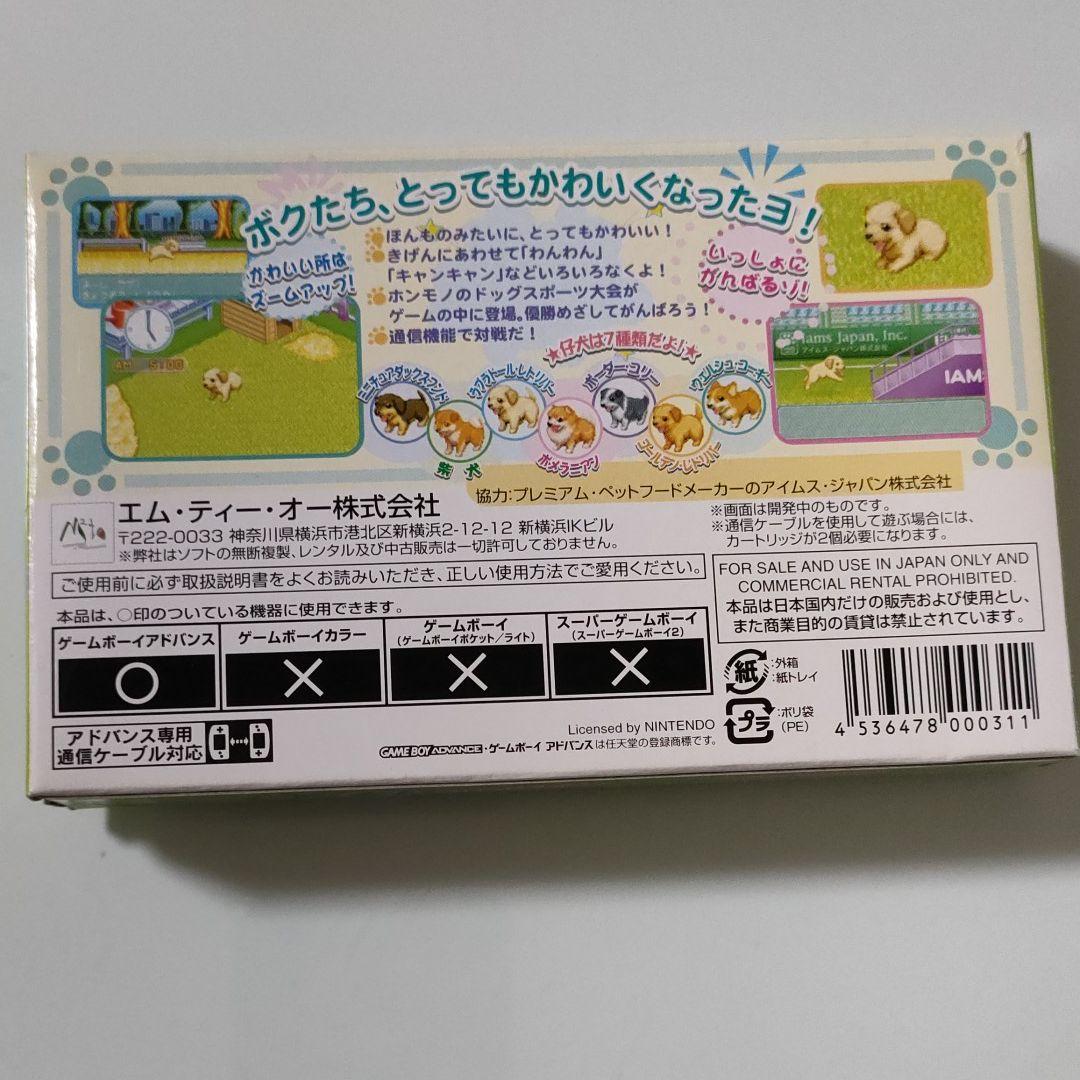 在庫SALE【完全版】かわいい仔犬