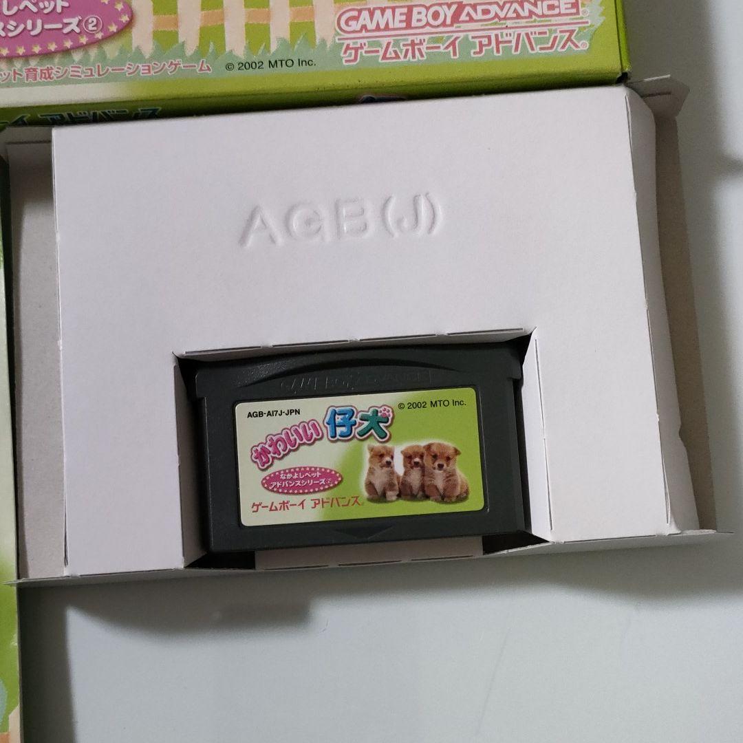 在庫SALE【完全版】かわいい仔犬