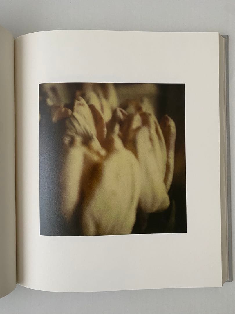 Cy Twombly サイ・トゥオンブリーの写真　変奏のリリシズム