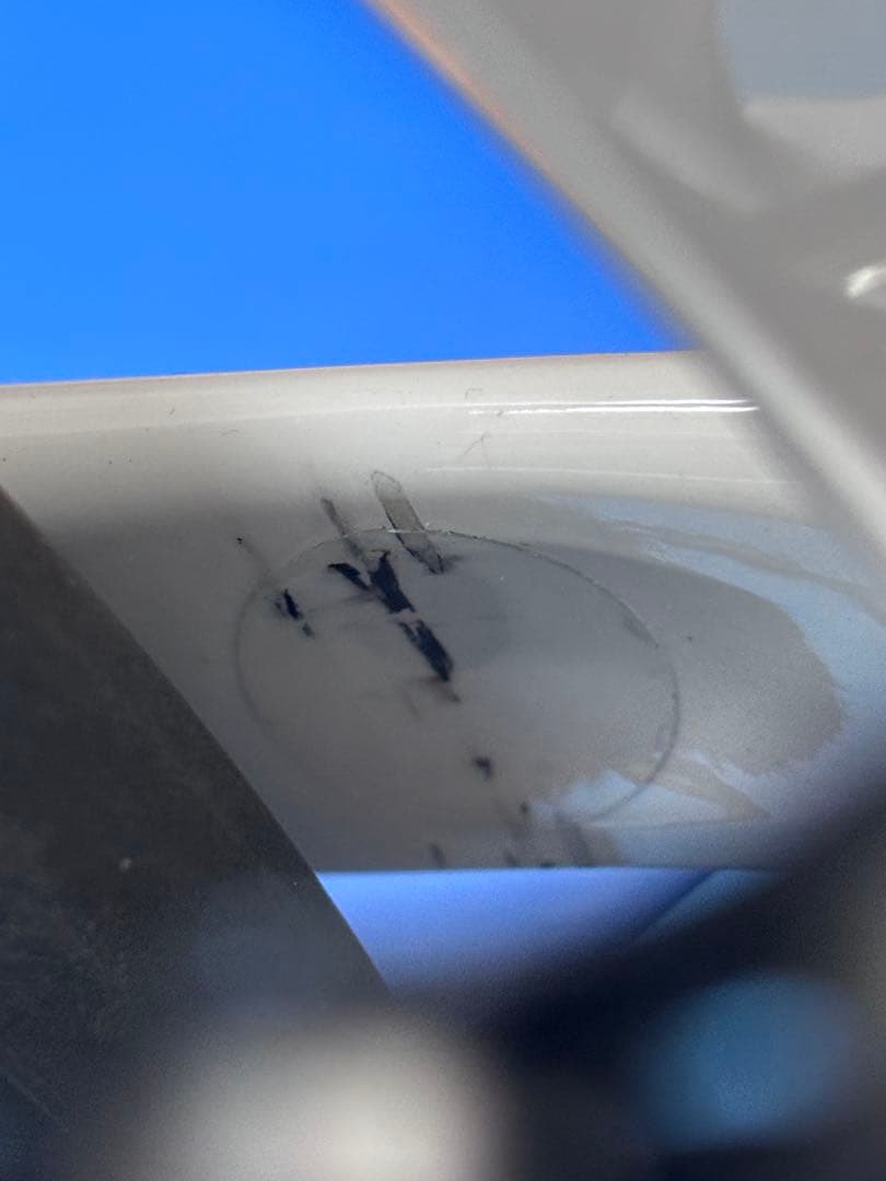 完成車 unknown bikes Singularity sサイズ