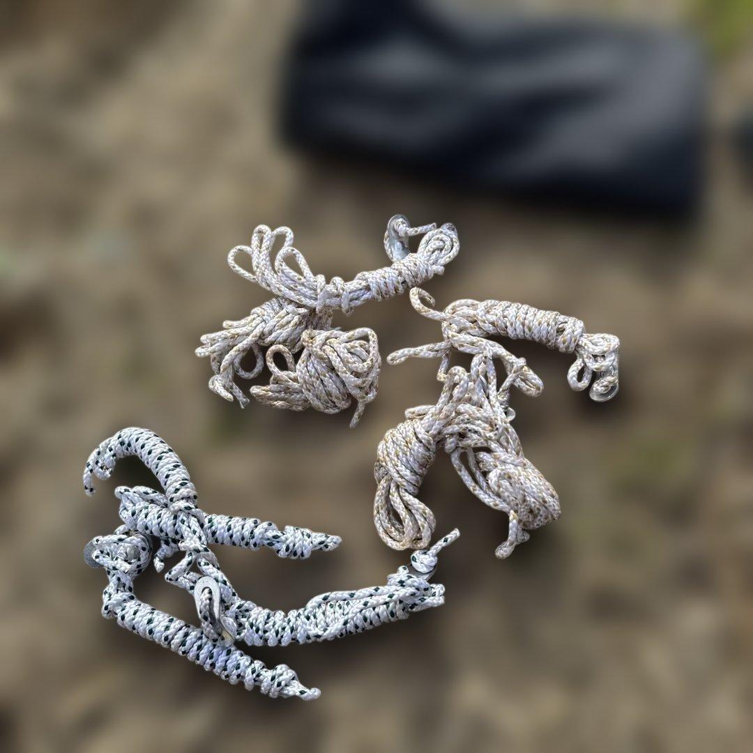 Coleman Instant-Up Dome/S テント