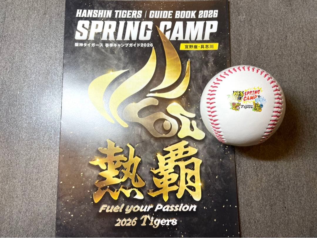 阪神タイガース 立石正広 直筆サインボール 2026沖縄キャンプ限定球
