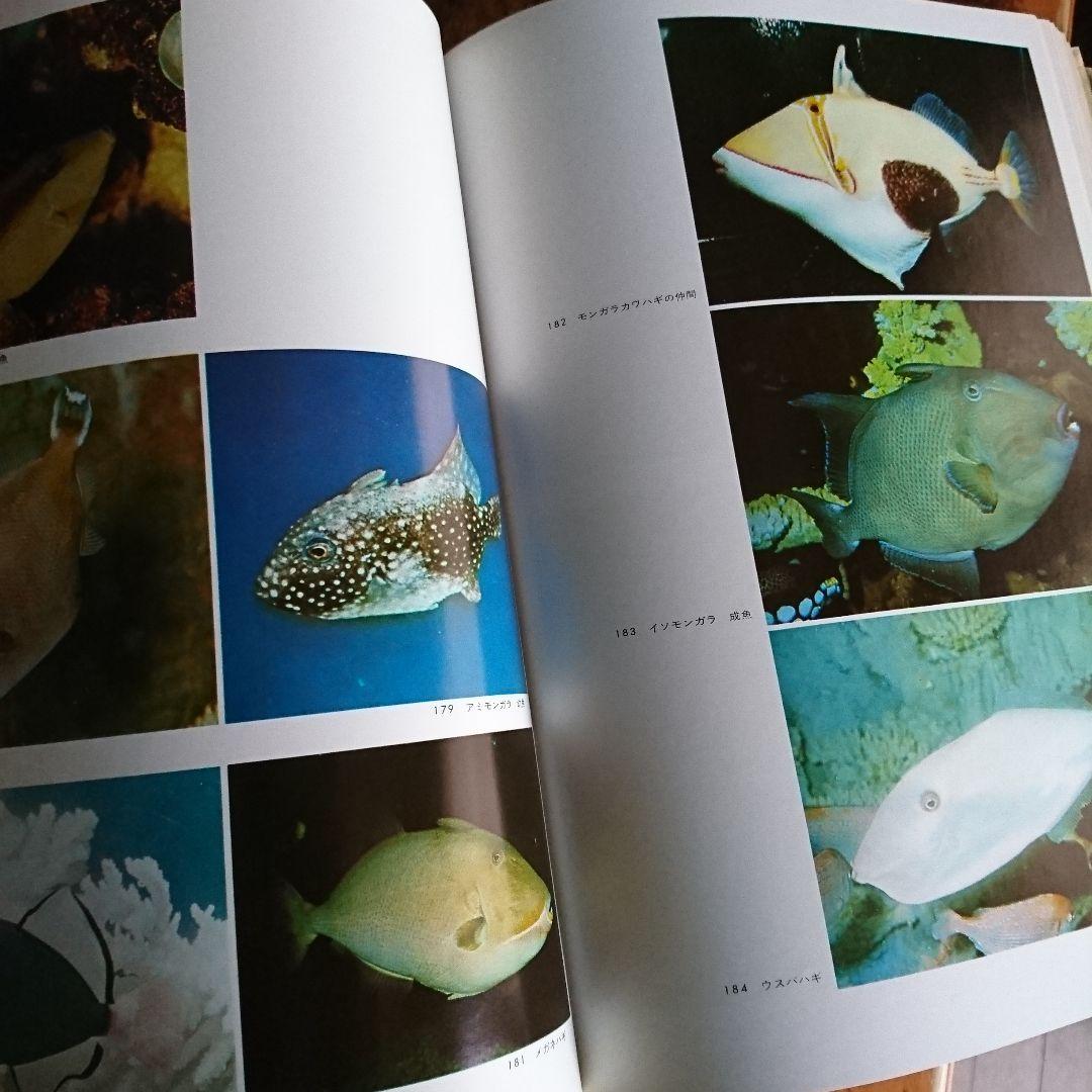 日本沿岸魚類の生態 監修檜山義夫撮影・解説 安田富士郎 出版社 講談社