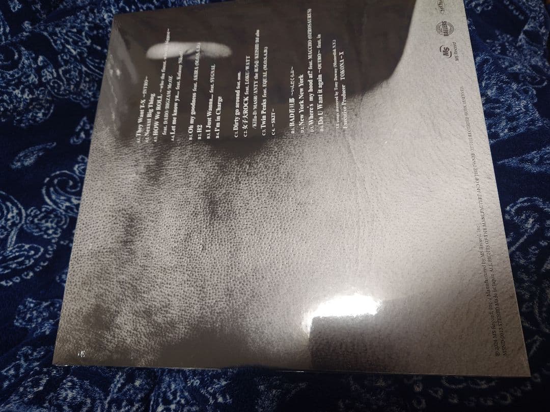 4/4までの出品 TOKONA-X トウカイXテイオー レコード