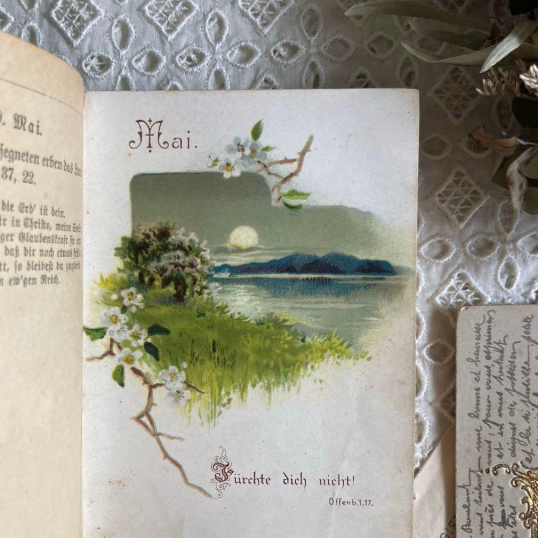 L916洋書ドイツアンティーク古書　儚げな勿忘草の装丁が美しいメモリアルブック