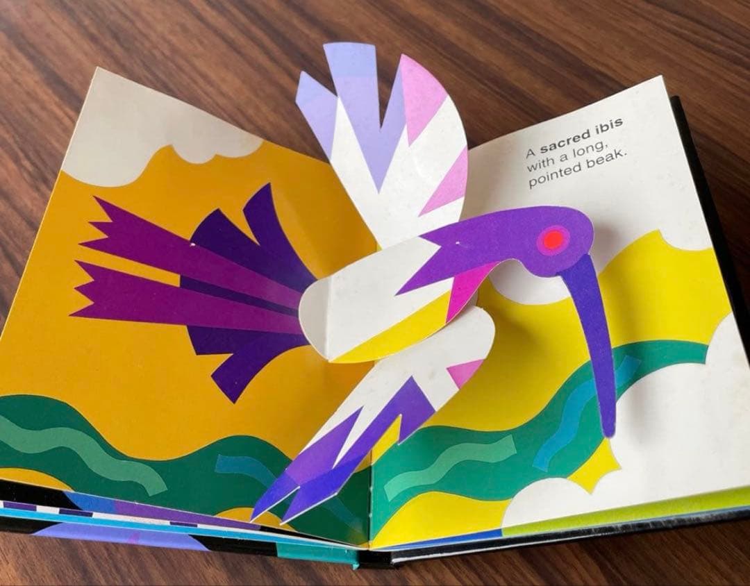 ロバート・サブダ　とびだししかけえほん　飛び出す絵本 しかけ絵本　8冊