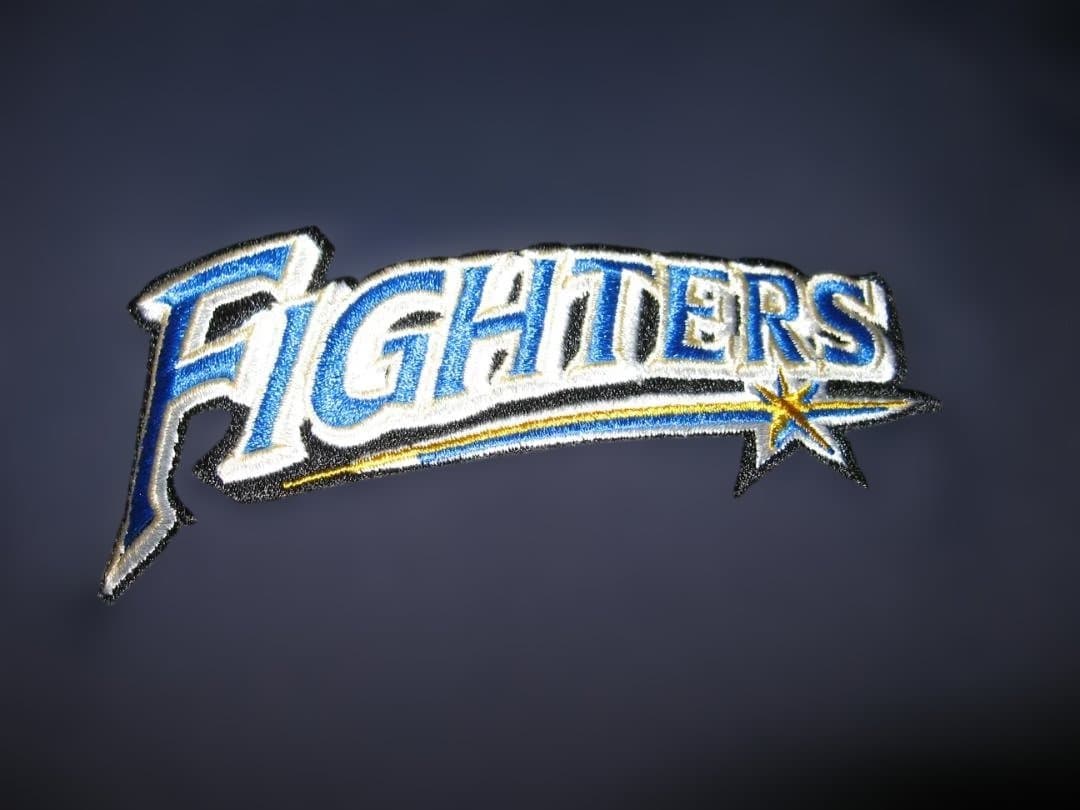 日本ハムファイターズ・パーカー・オークリー・Lサイズ・美品