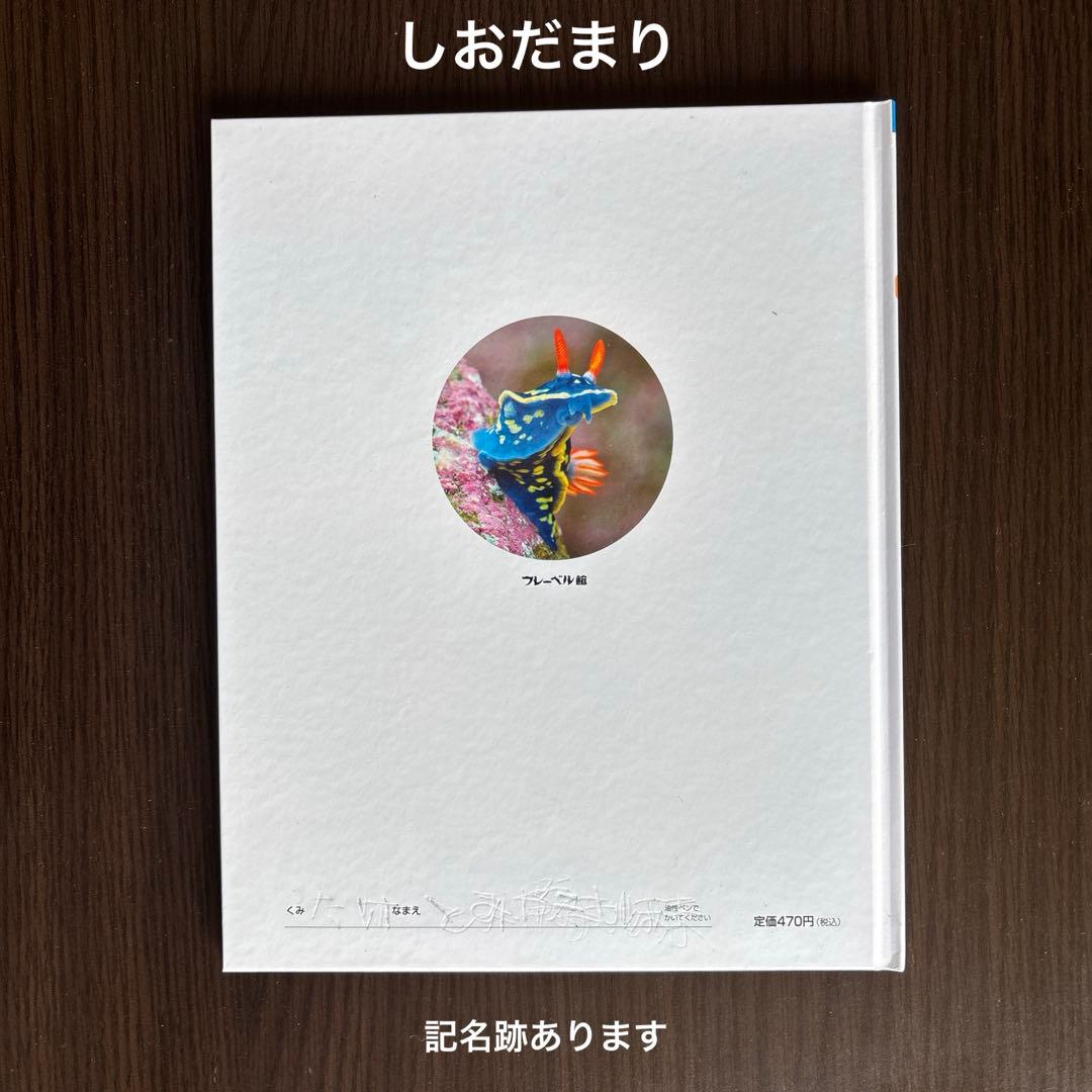 しぜん　絵本　キンダーブック　60冊　セット　まとめて　① ※2冊ダブリあります