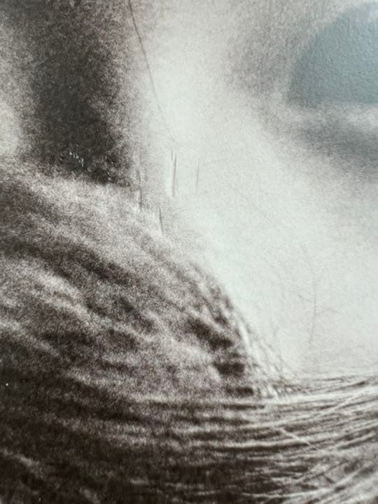 f(x) クリスタル 写真集 I DON'T WANT TO LOVE YOU