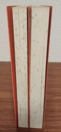 城野宏の戦略人間学 上下2冊