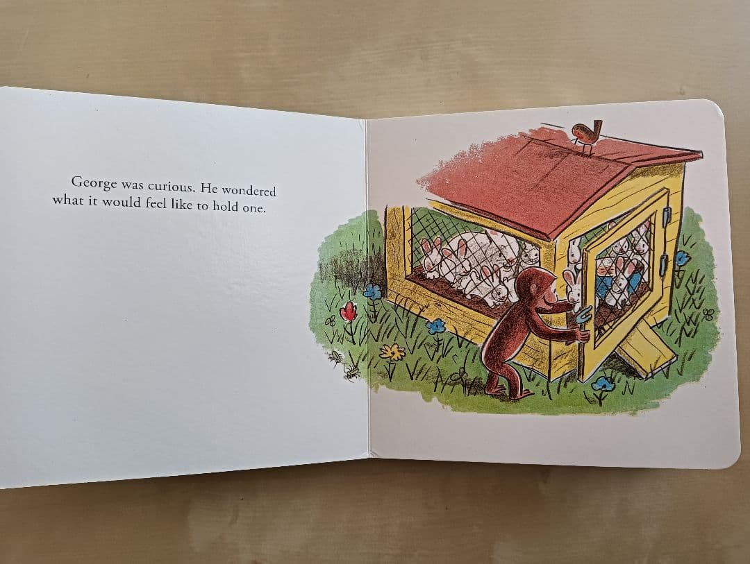 洋書 Curious e and the Bunny