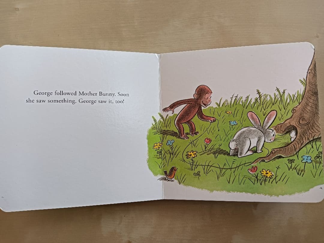 洋書 Curious e and the Bunny