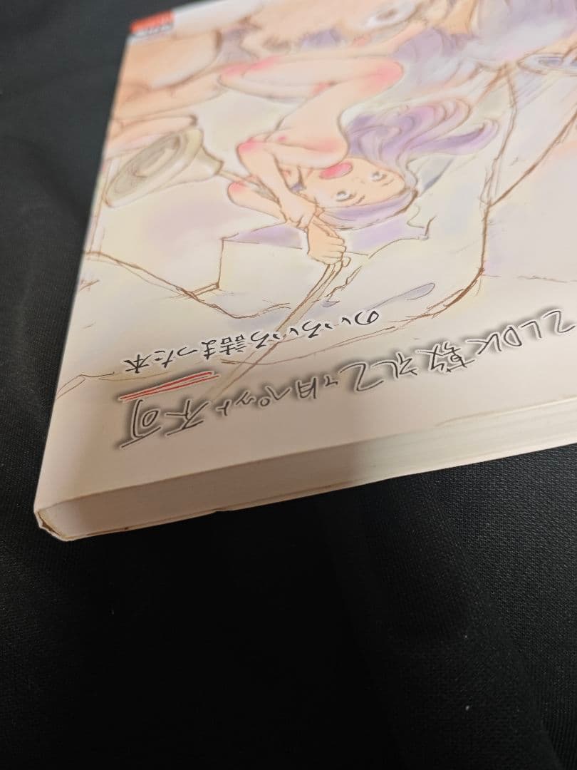 西荻窪駅徒歩20分2LDK敷礼2ヶ月ペット不可 のいろいろ詰まった本