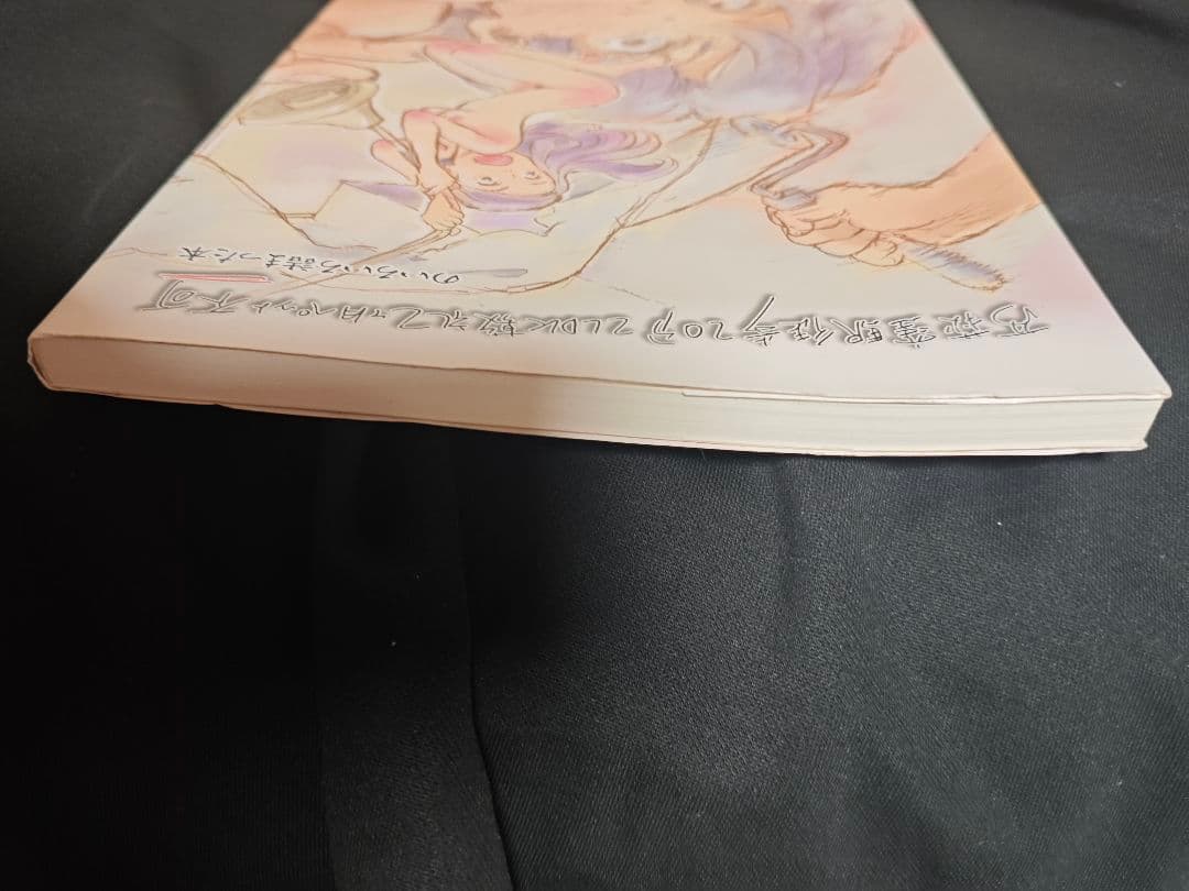 西荻窪駅徒歩20分2LDK敷礼2ヶ月ペット不可 のいろいろ詰まった本