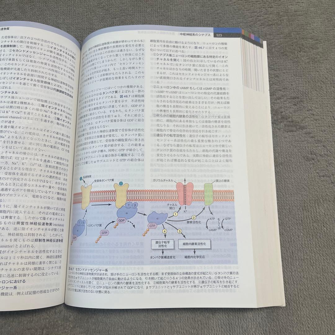 【２月末まで値下げ可】ガイトン生理学 第13版