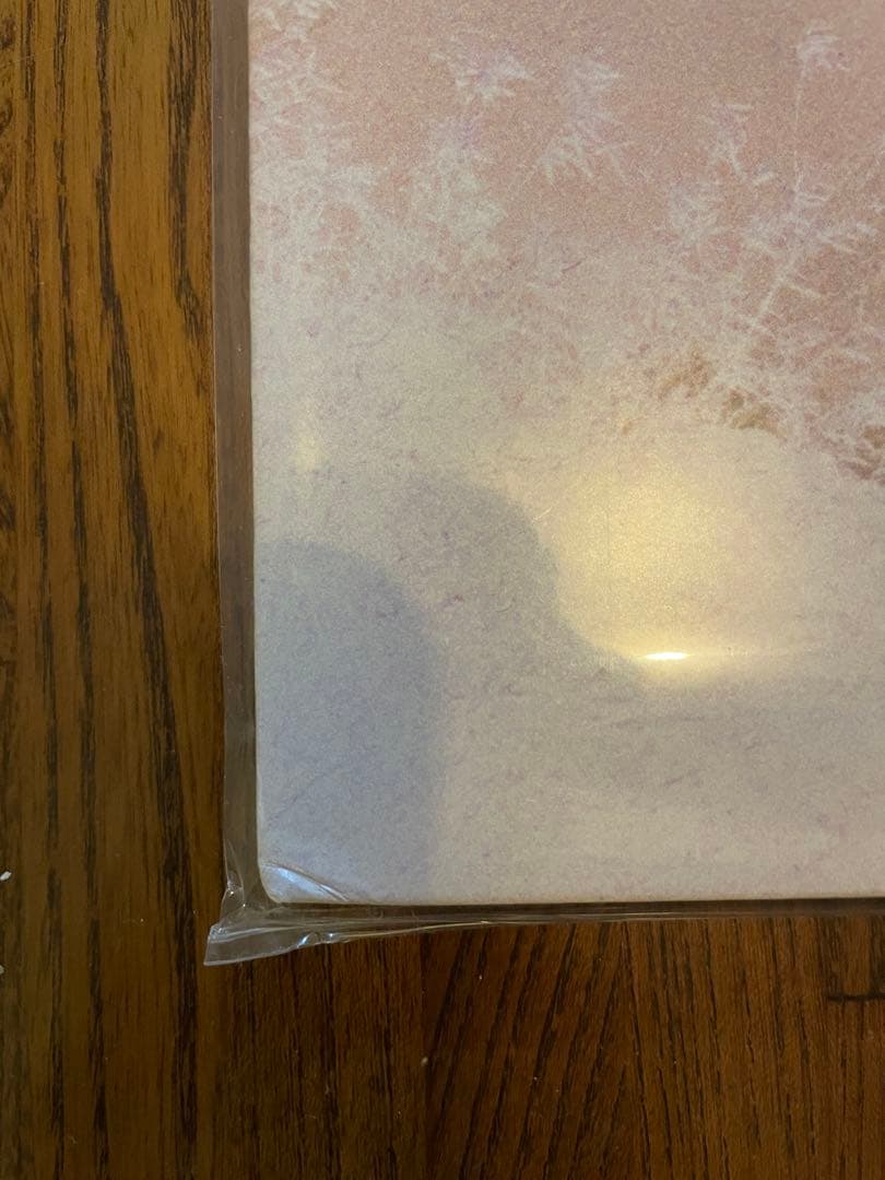 D.A.N. / No Moon レコード