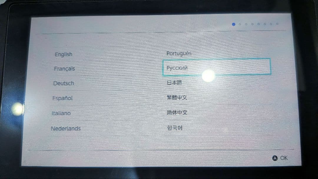 Nintendo Switch 本体 グレー 動作確認済 ケース付き