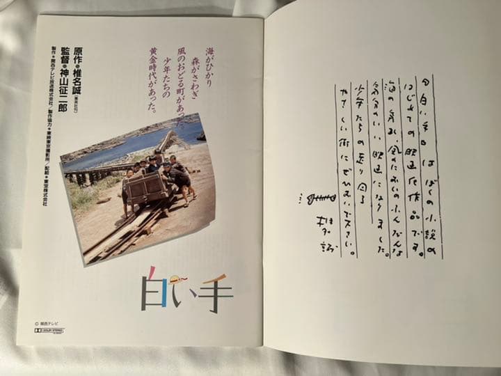 「映画　パンフレット」  白い手　南野陽子　主演